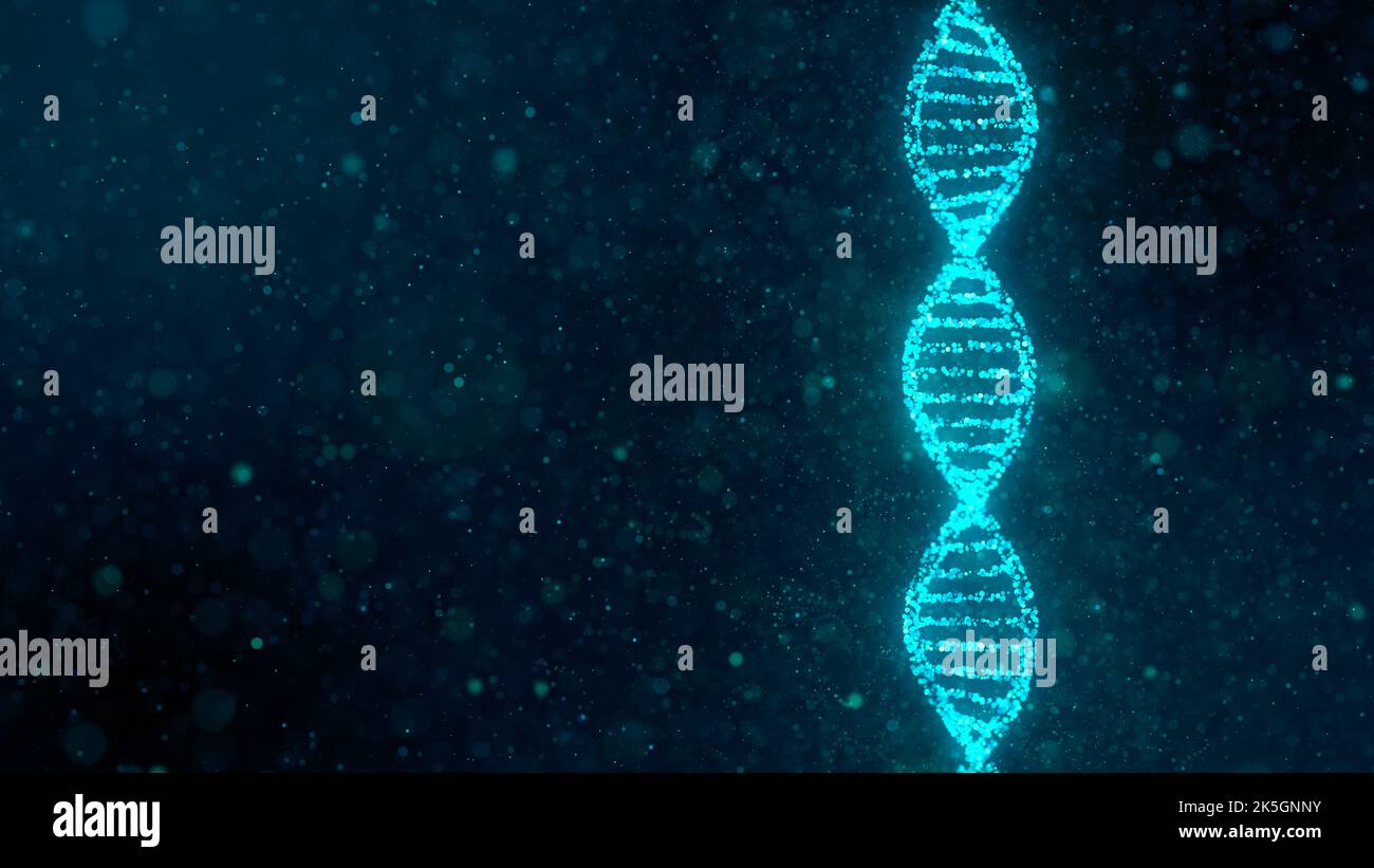 DNA (deoxyribonucleic acid) molecule, conceptual illustration Stock
