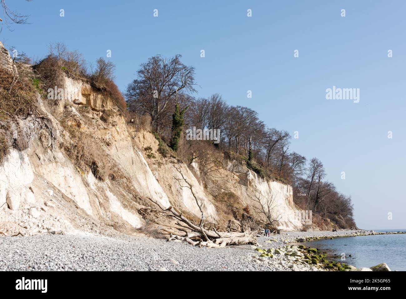 Ostseeinsel Rügen Sassnitz steinige Felsküste mit Kreidefelsen auf dem Weg zur Stubbenkammer
