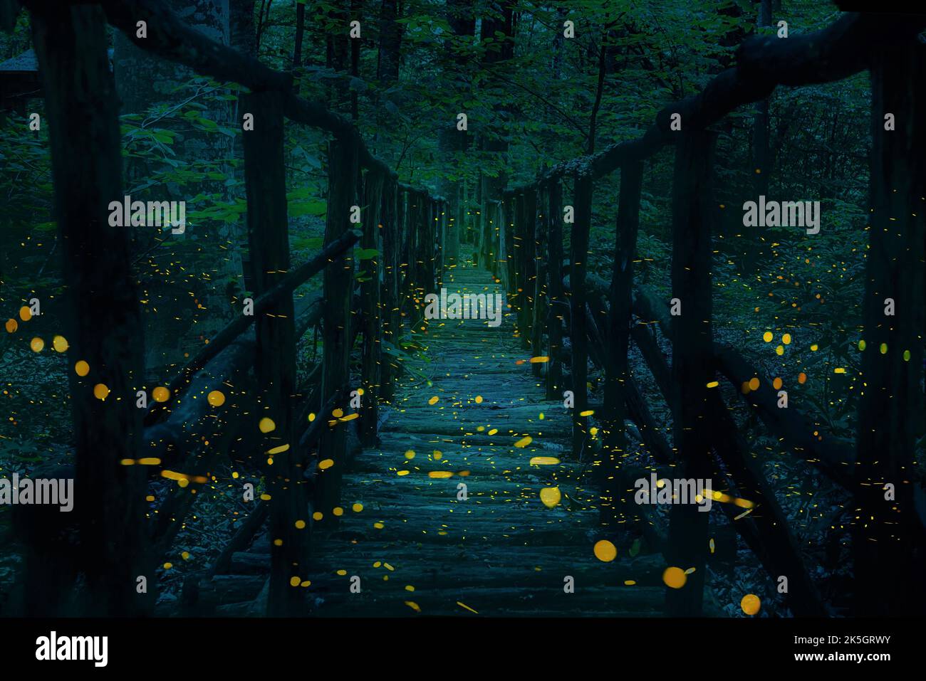Fireflies flying over a wooden bridge in the forest at twilight. Stock Photo