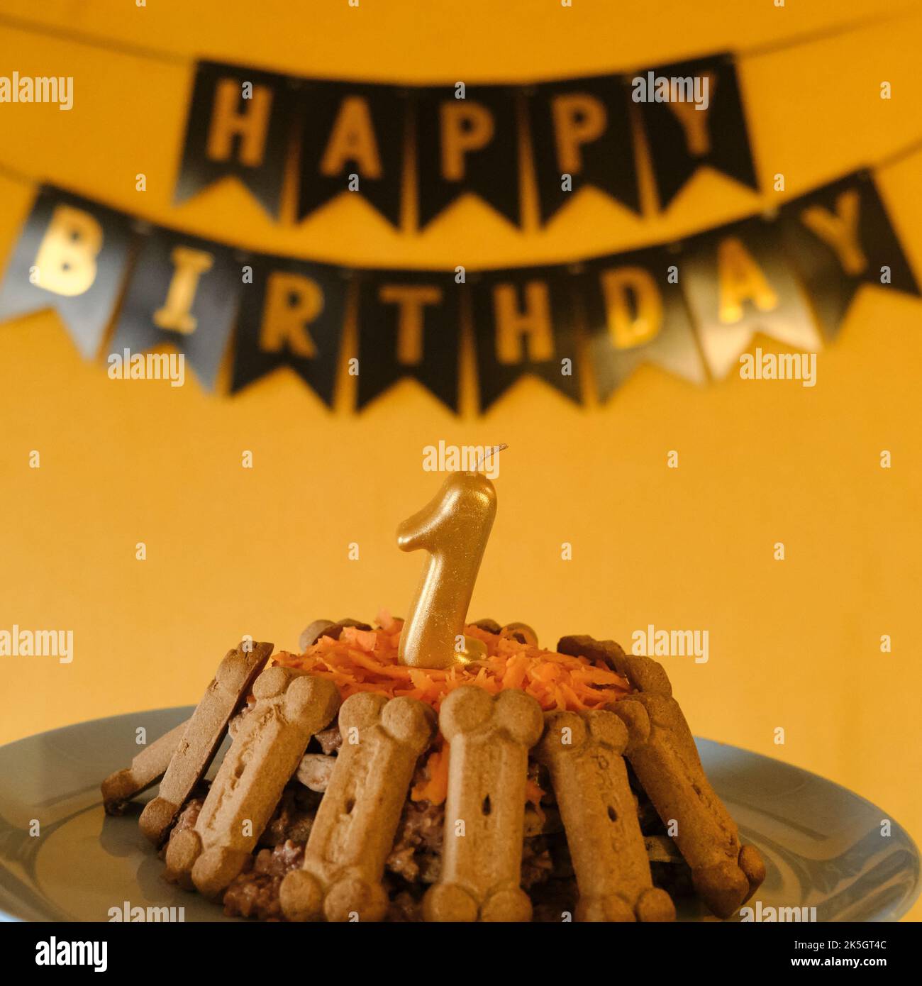 Concept of dog's birthday. Cake for pet made of cookies in shape of