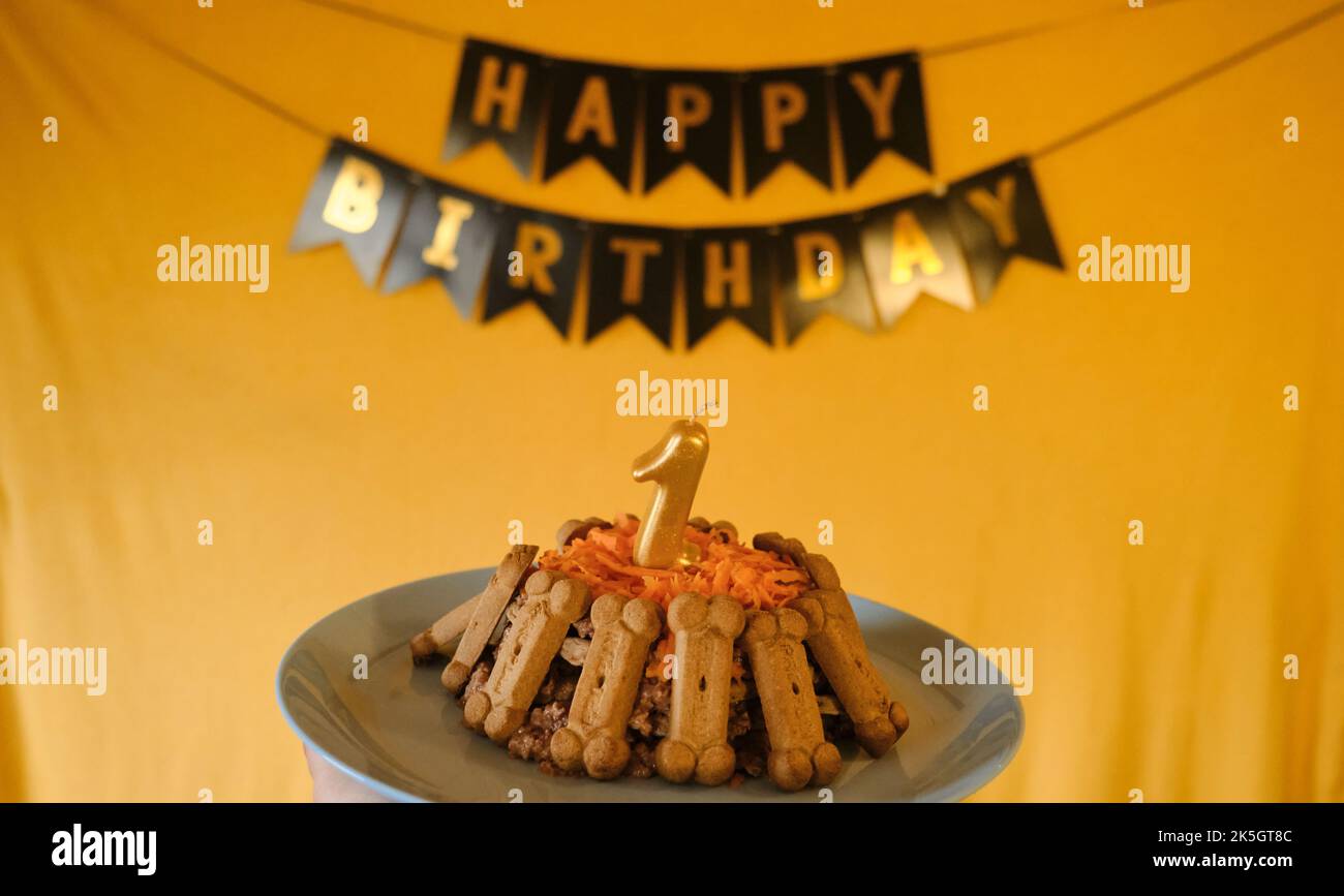 Concept of dog's birthday. Cake for pet made of cookies in shape of