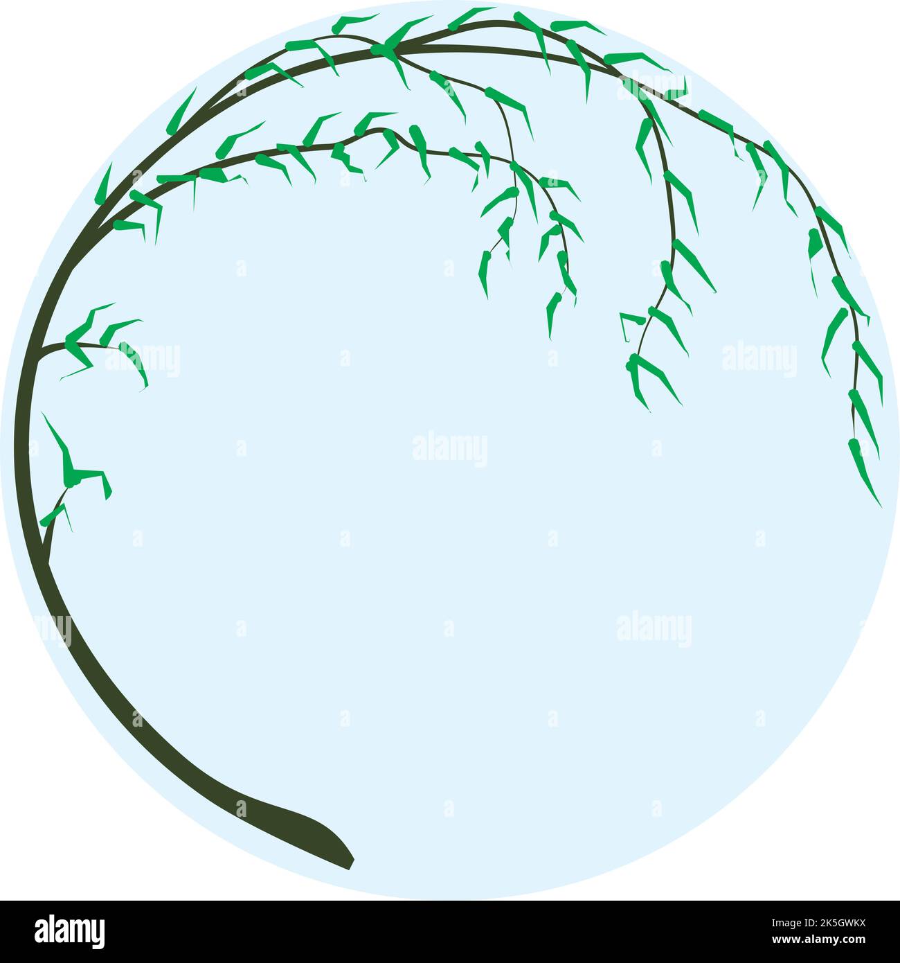 willow-tree-branch-vector-image-stock-vector-image-art-alamy