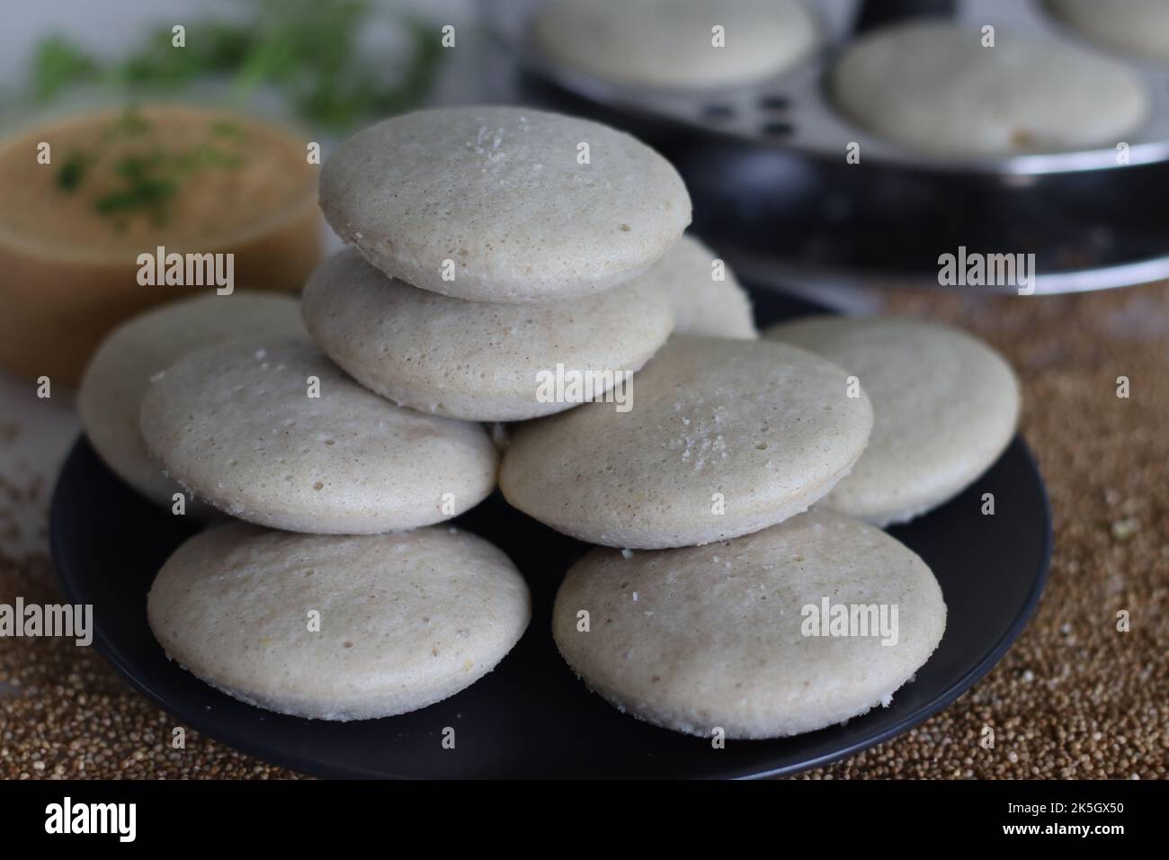 Kodo millet idly. Steamed savory cakes made of kodo millets and lentil