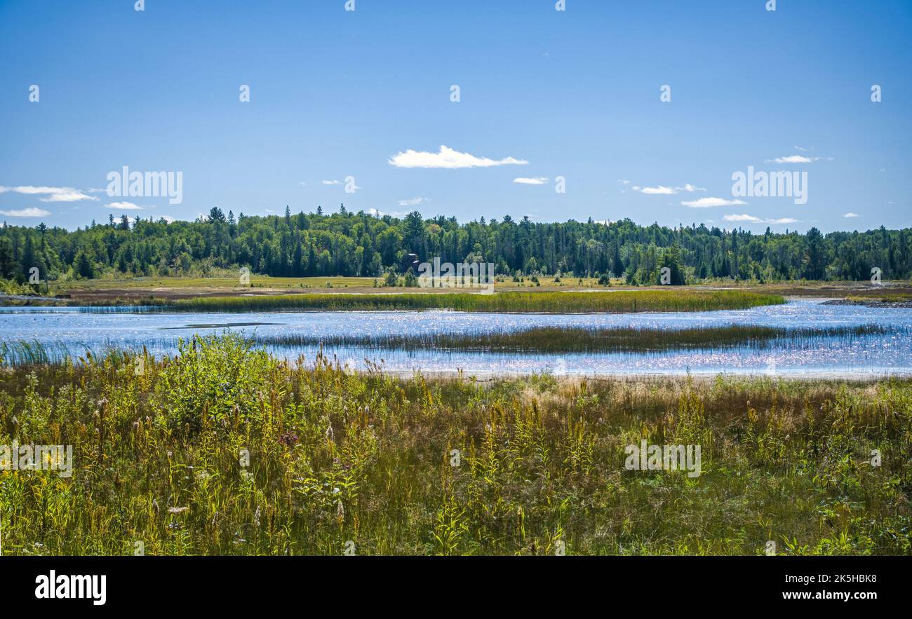 Scenic view of Cart Lake Tailings, as Site 5 along Hertiage Silver Trail, a part of Cobalt Mining District National Historic Site of Canada. A rusty h Stock Photo