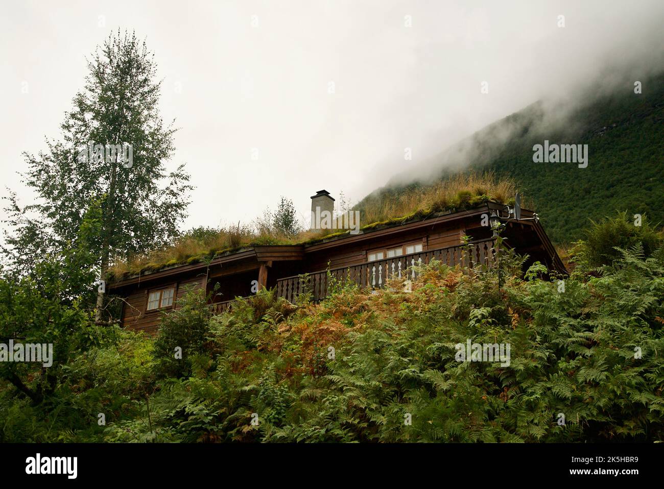 Grass roofing on a house in Olden Norway. Wooden cabin house with grass