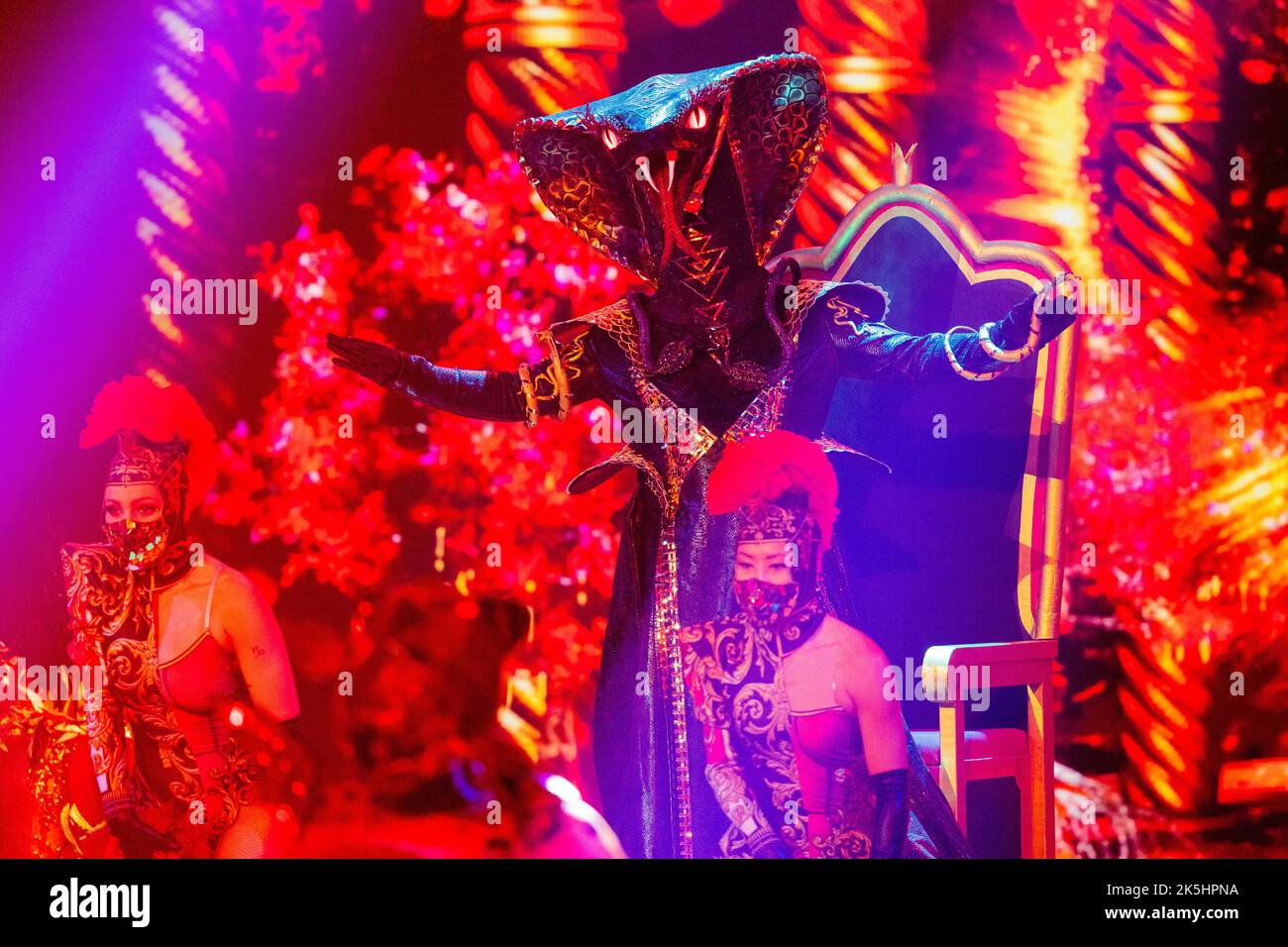 The black mamba singer hi-res stock photography and images - Alamy
