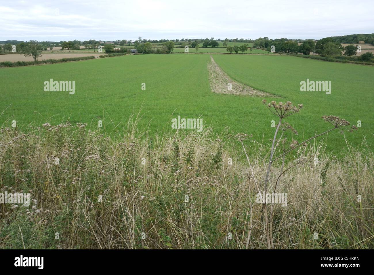 Site of the Battle of Naseby Stock Photo - Alamy