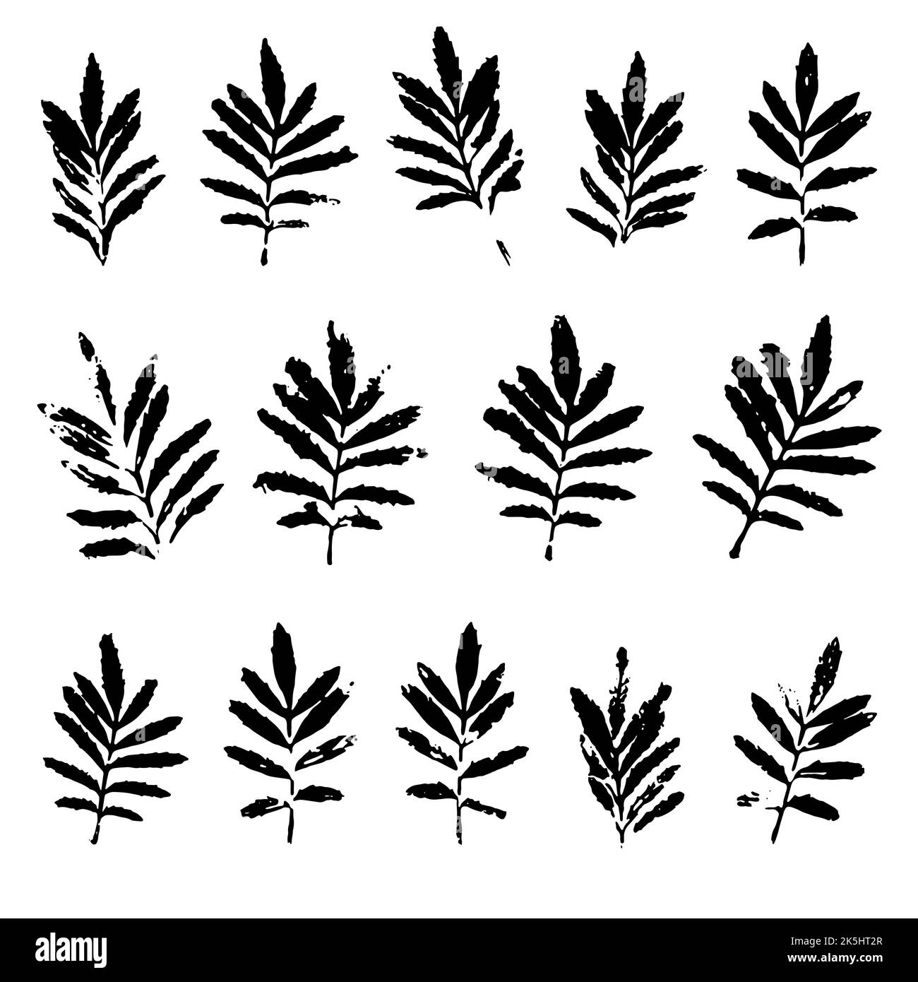 Marigold leaves black prints isolated on white. Ink stamps of foliage
