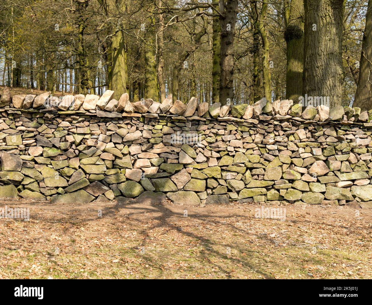 Smart Dry Stone Wall In Bradgate Park Leicestershire England UK smart-dry-stone-wall-in-bradgate-park-leicestershire-england-uk
