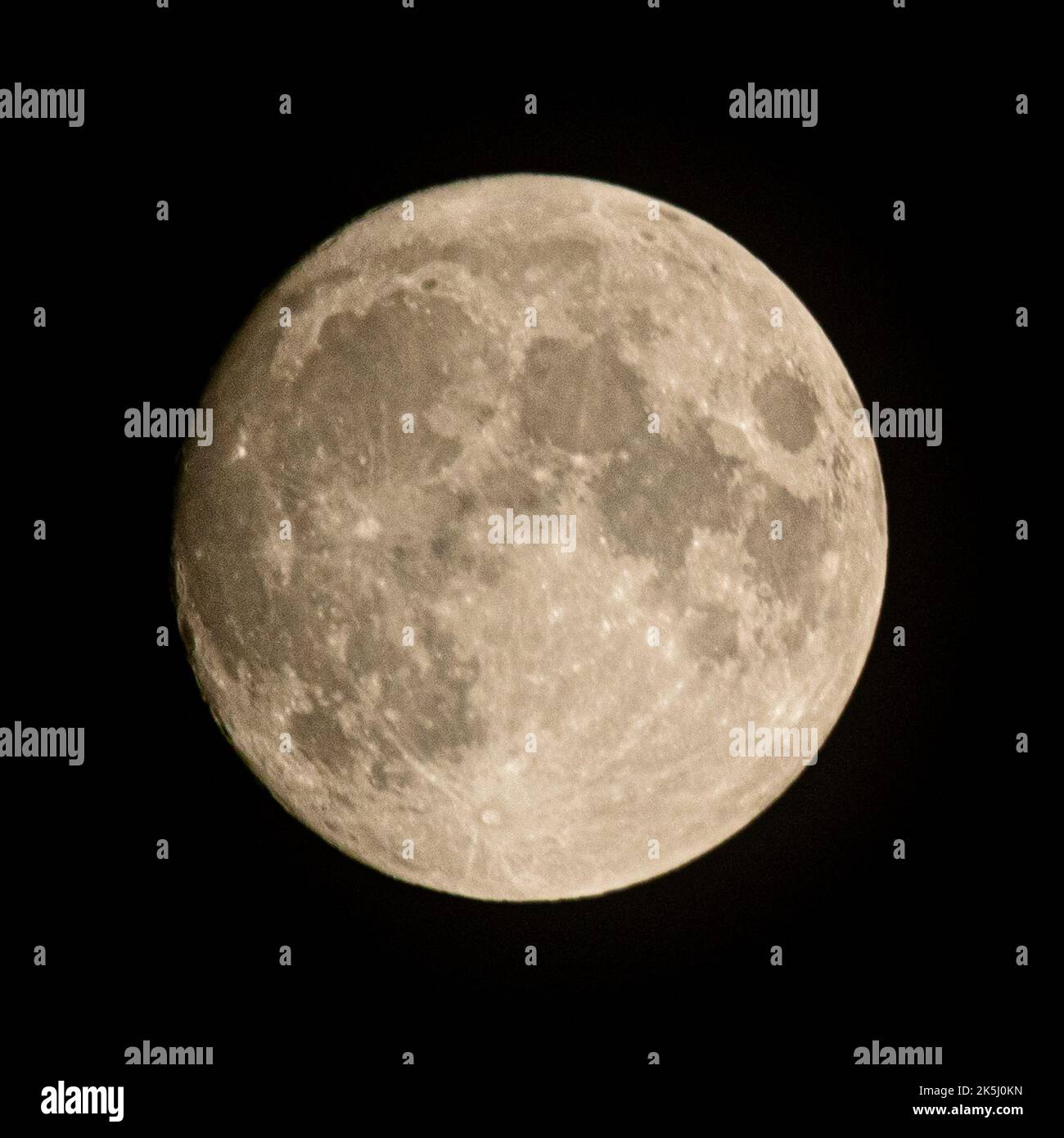 Wadebridge, Cornwall, UK. 8th October 2022. UK Weather. The Hunters moon as seen from Wadebridge, Cornwall. Credit Simon Maycock / Alamy Live News. Stock Photo