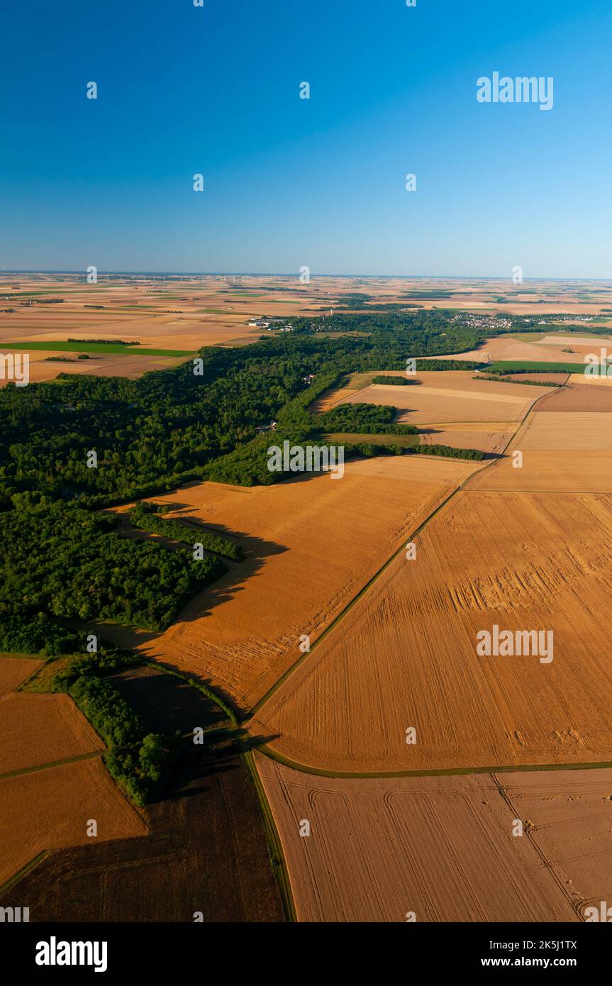France, Essonne (91), Saclas, aerial view of the Beauce cereal plains in early summer before harvest, middle the La Juine forest valley Stock Photo