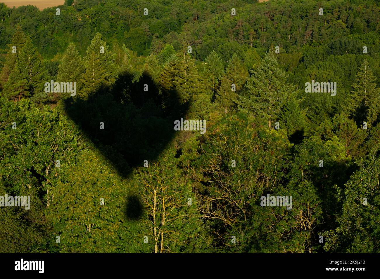 France, Essonne (91), Saclas, aerial view from the shadow of a hot air balloon over the forest valley of La Juine Stock Photo