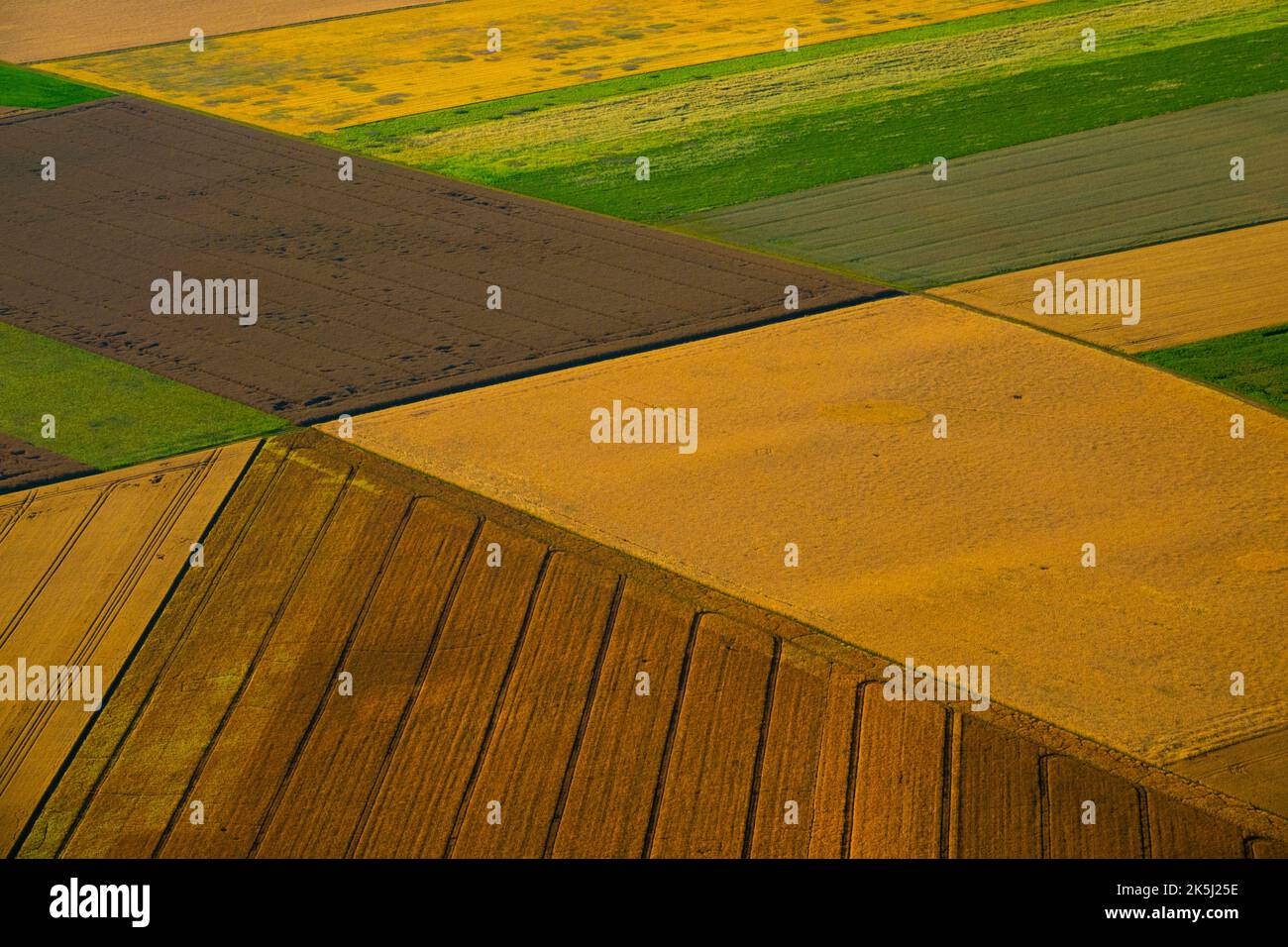 France, Essonne (91), Guillerval,, aerial view of the cereal plains of the Beauce in early summer before the harvest Stock Photo