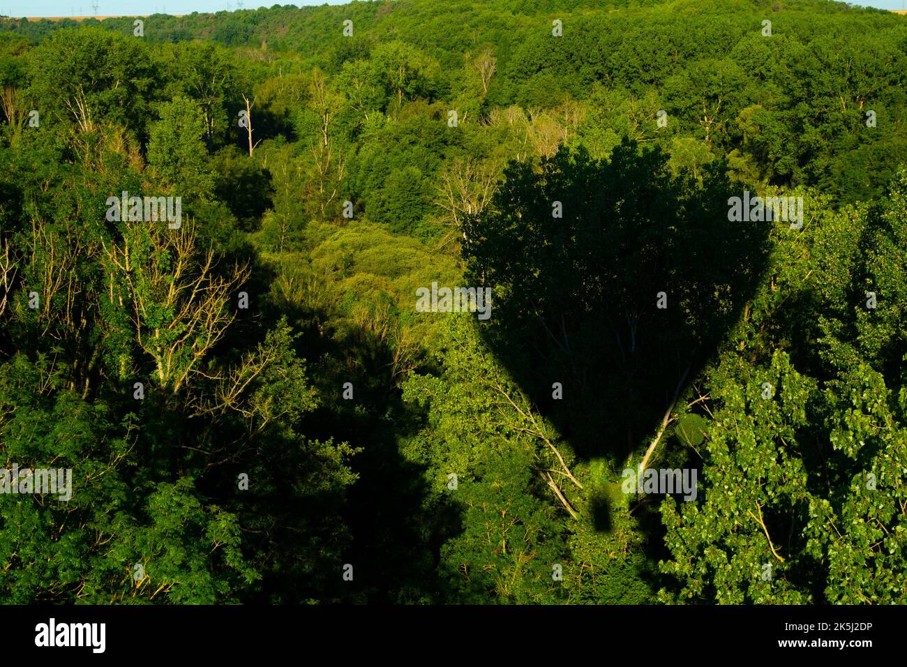 France, Essonne (91), Chalo-Saint-Mars, aerial view of the shadow of a hot air balloon over the forest of the Chalouette valley Stock Photo