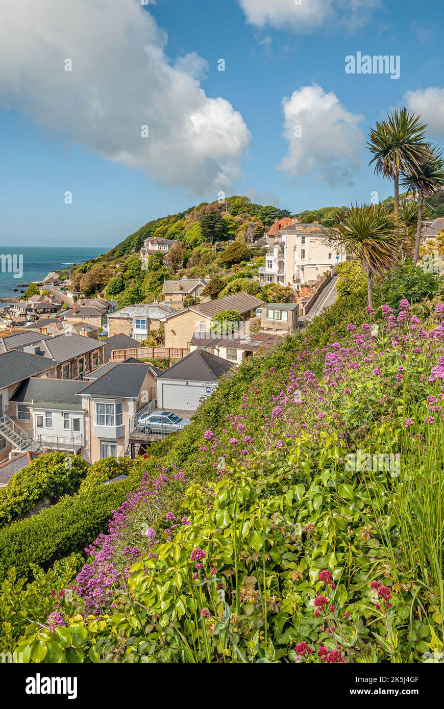 View over Ventnor at the Isle of Wight in South England Stock Photo Alamy