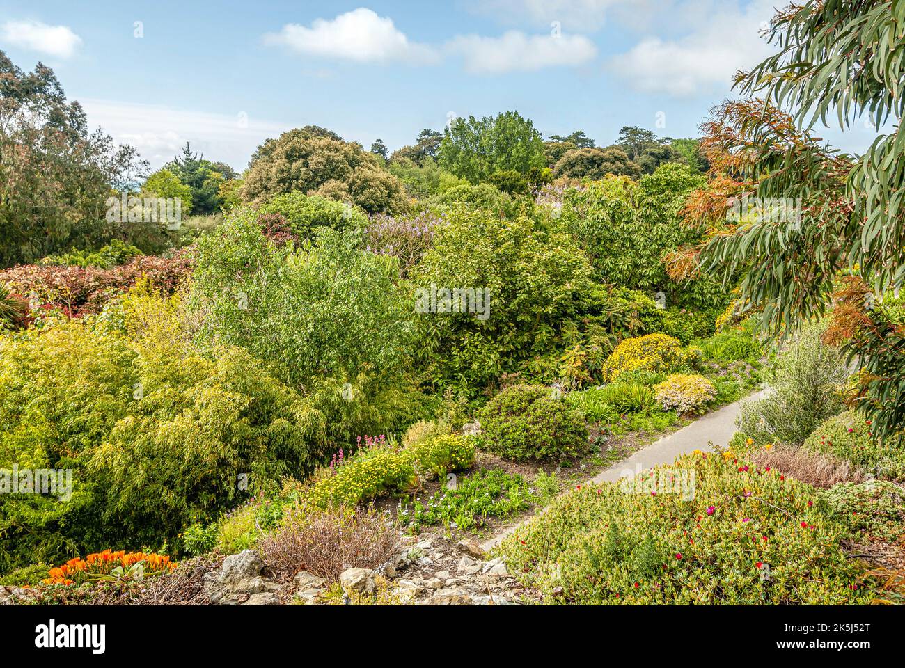 Botanic Gardens of Ventnor at the Isle of Wight, South England Stock Photo
