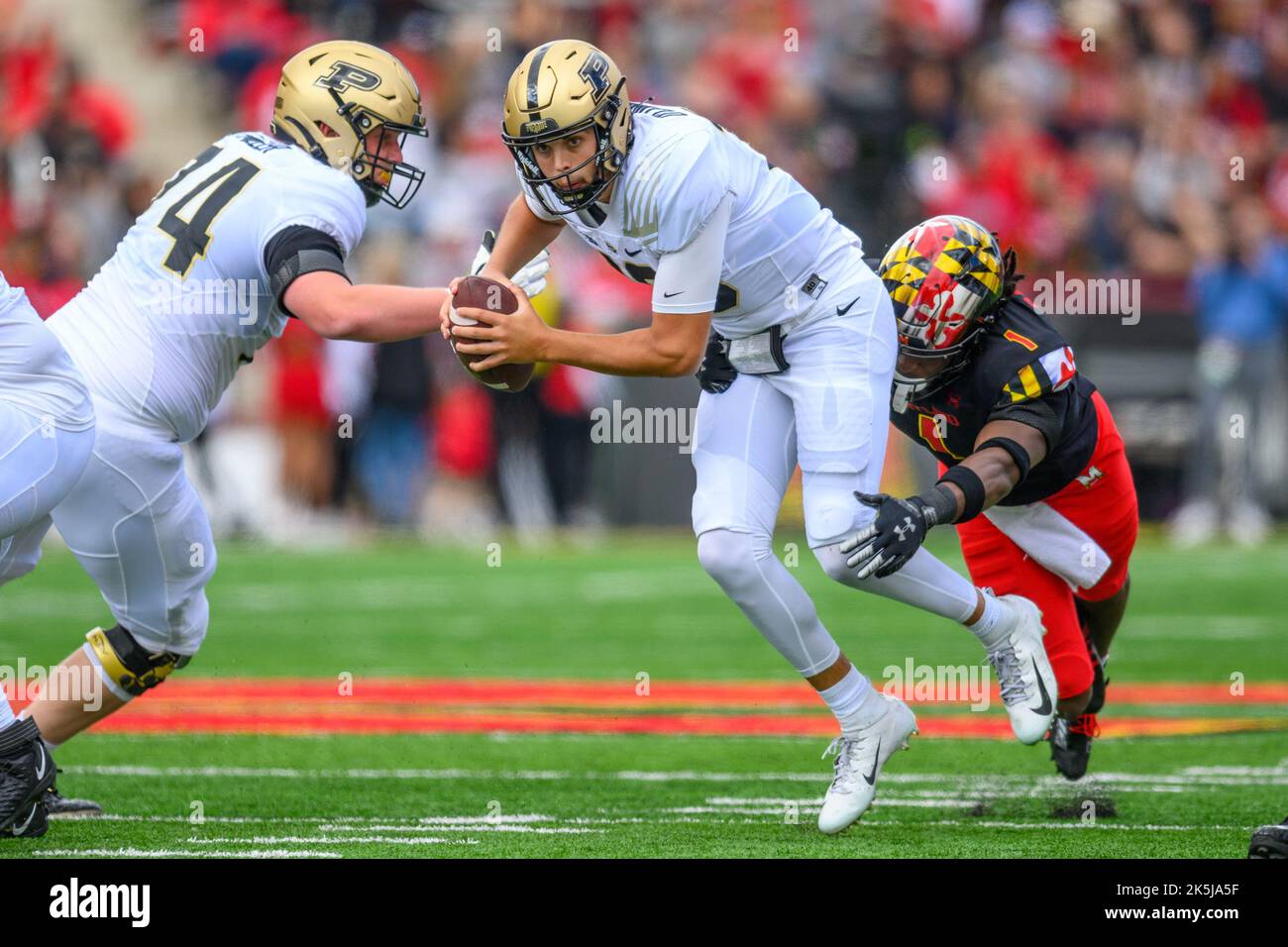 Aidan oconnell hires stock photography and images Alamy