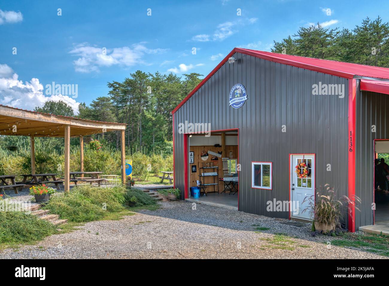 Perry’s Berry’s Blueberry Farm in North Carolina Stock Photo