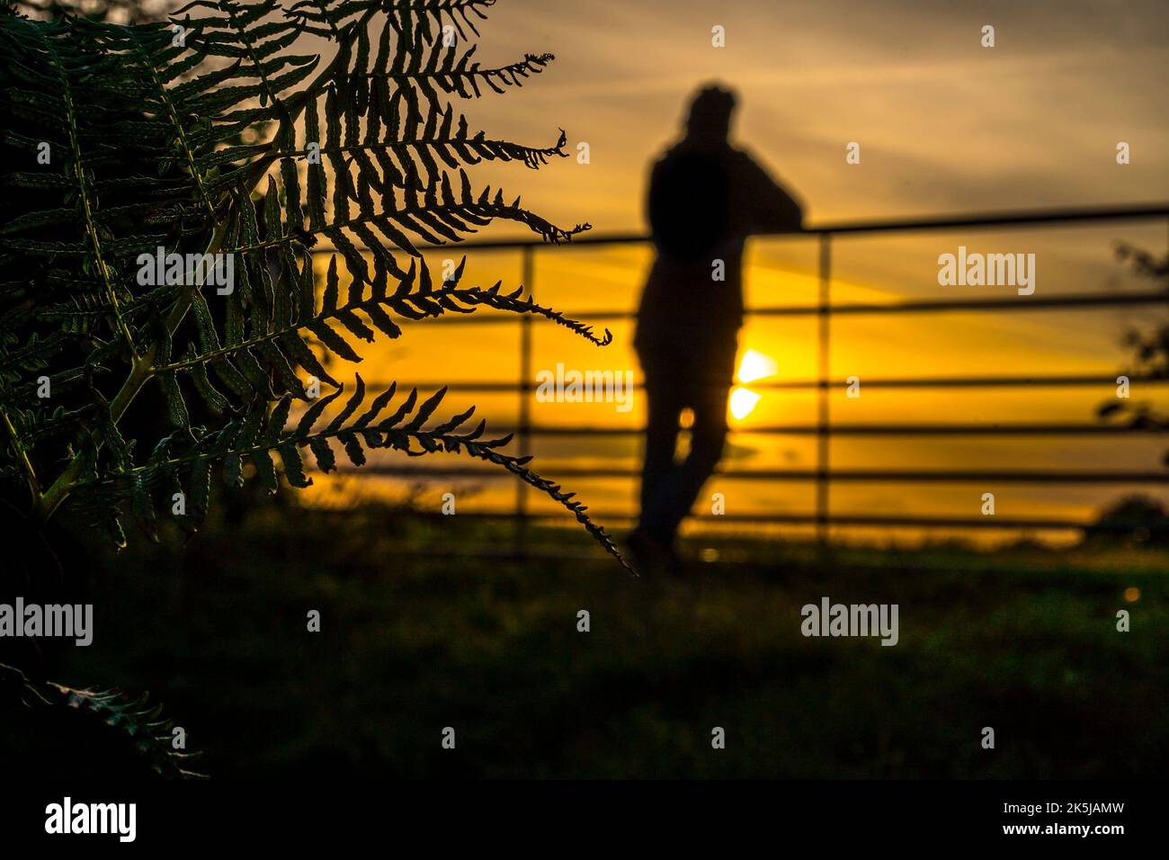 Kidderminster, UK. 8th October, 2022. UK weather a golden sunset