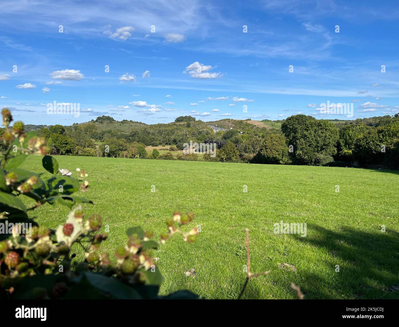 A landscape shot of fresh green lawn with trees in the background under a cloudy blue sky Stock Photo