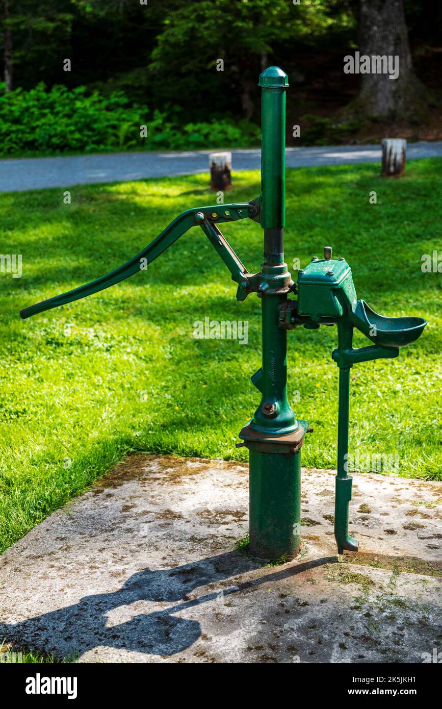 Old fashioned hand water pump; Chilkoot Lake; Chilkoot State Recreation Site; Coast Mountains; Haines; Alaska; USA Stock Photo