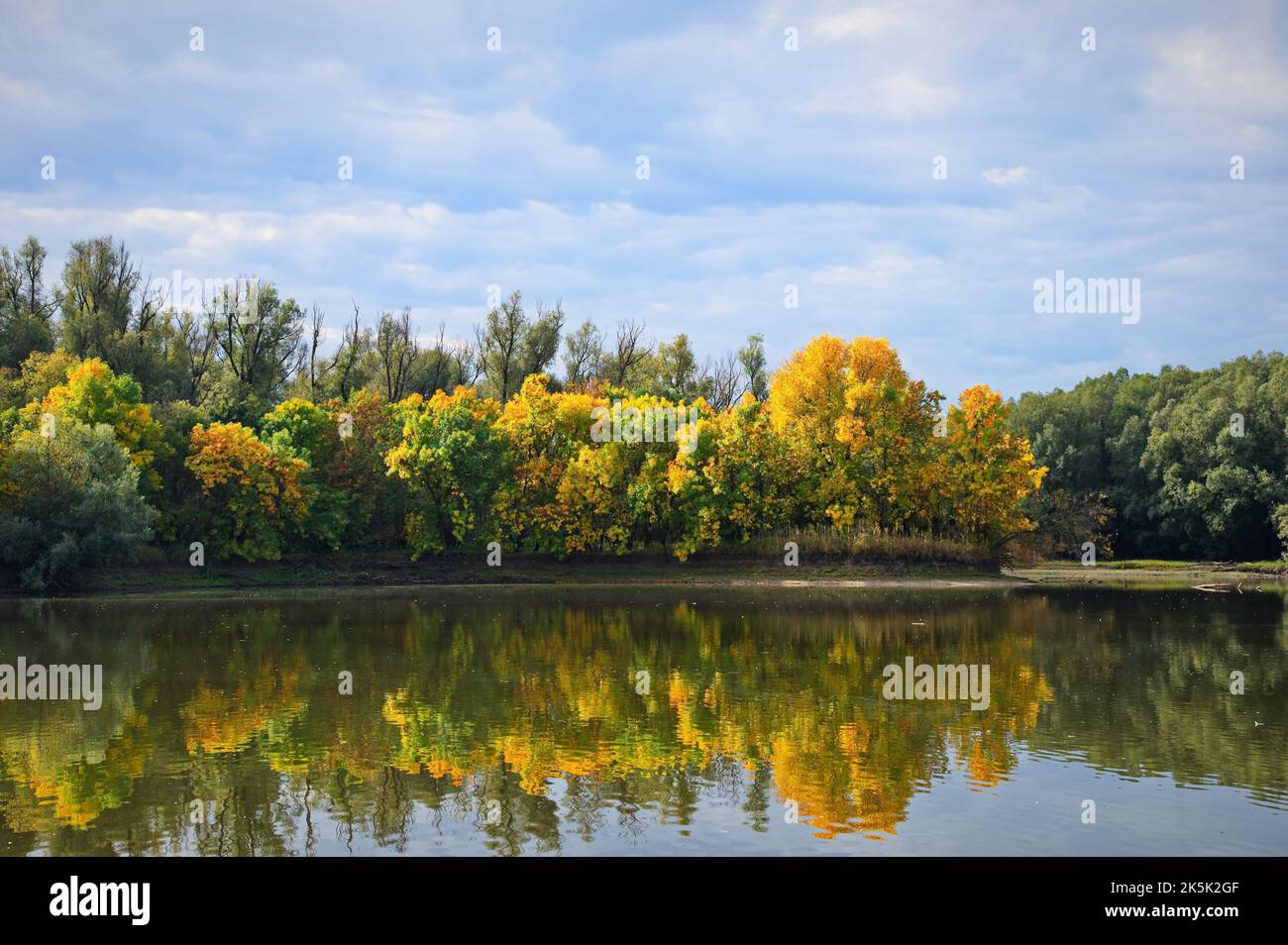 Autumn colored trees reflected in the still waters of Kopacki rit in Croatia Stock Photo