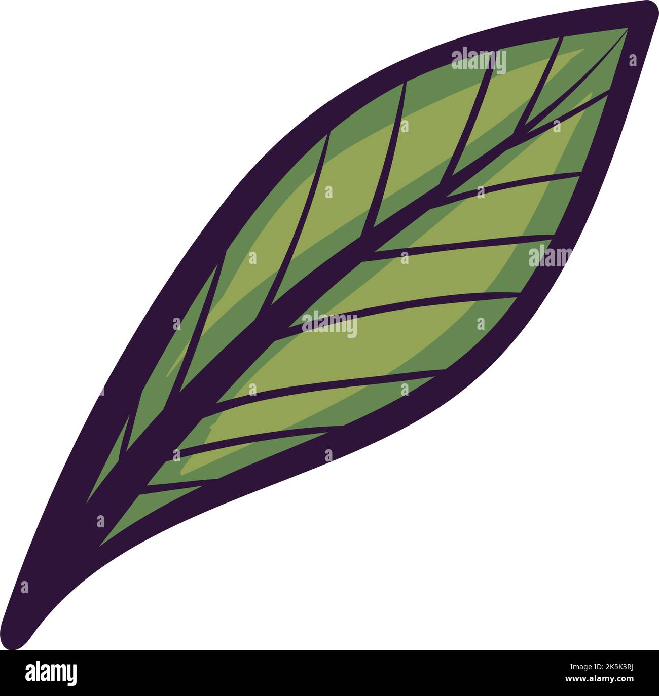 leaf plant foliage drawn Stock Vector Image & Art - Alamy