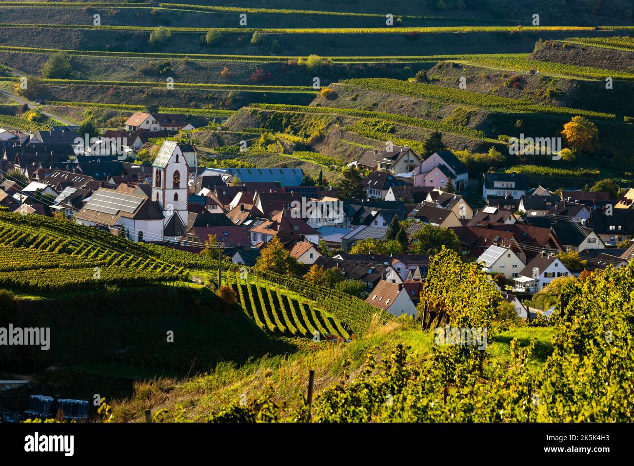 Blick über die Weinberge nach Oberbergen im Kaiserstuhl Stock Photo
