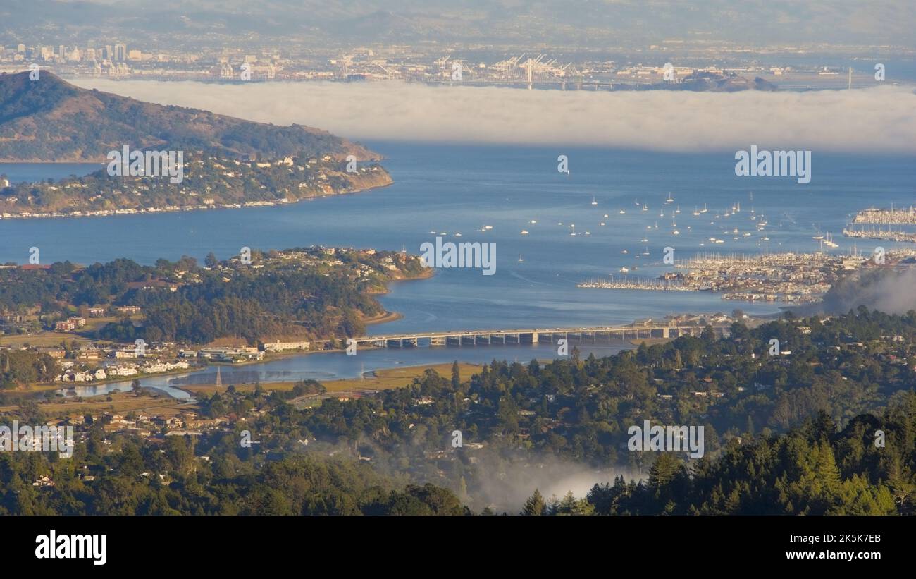 San Francisco bay view from Mt. Tamalpais with the low hanging fog. Stock Photo