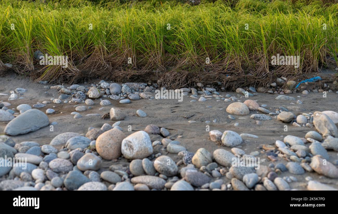 Agricultural land erosion due to flood in the river swat in the Swat valley, Pakistan Stock Photo