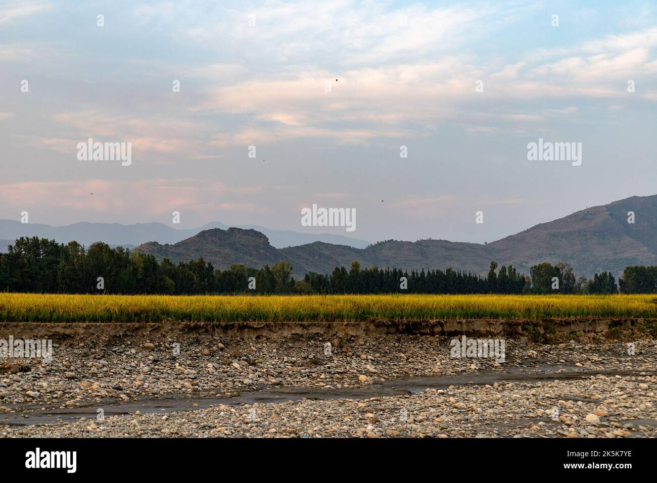 Flood in river swat damaged and washed away the rice crops and agricultural land in the swat valley, Pakistan Stock Photo