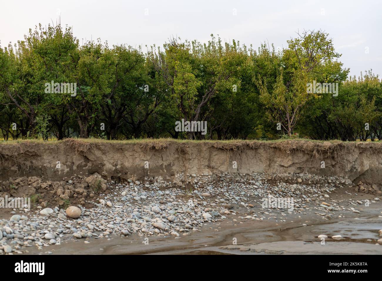 Apricot orchard and agricultural land erosion due to flood in the river swat in the Swat valley, Pakistanerosion due to natural disaster and global wa Stock Photo