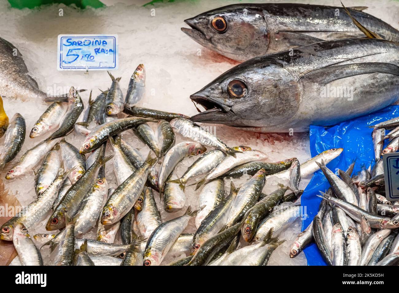 Fresh fish at a fish market in Barcelona, Spain Stock Photo Alamy