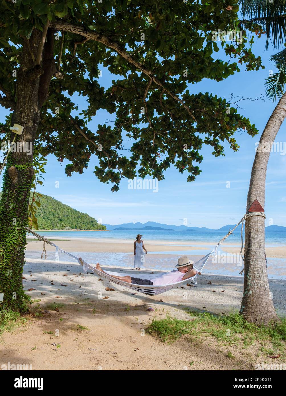Men and women relaxing in a hammock under a palm tree, Hammock on the ...