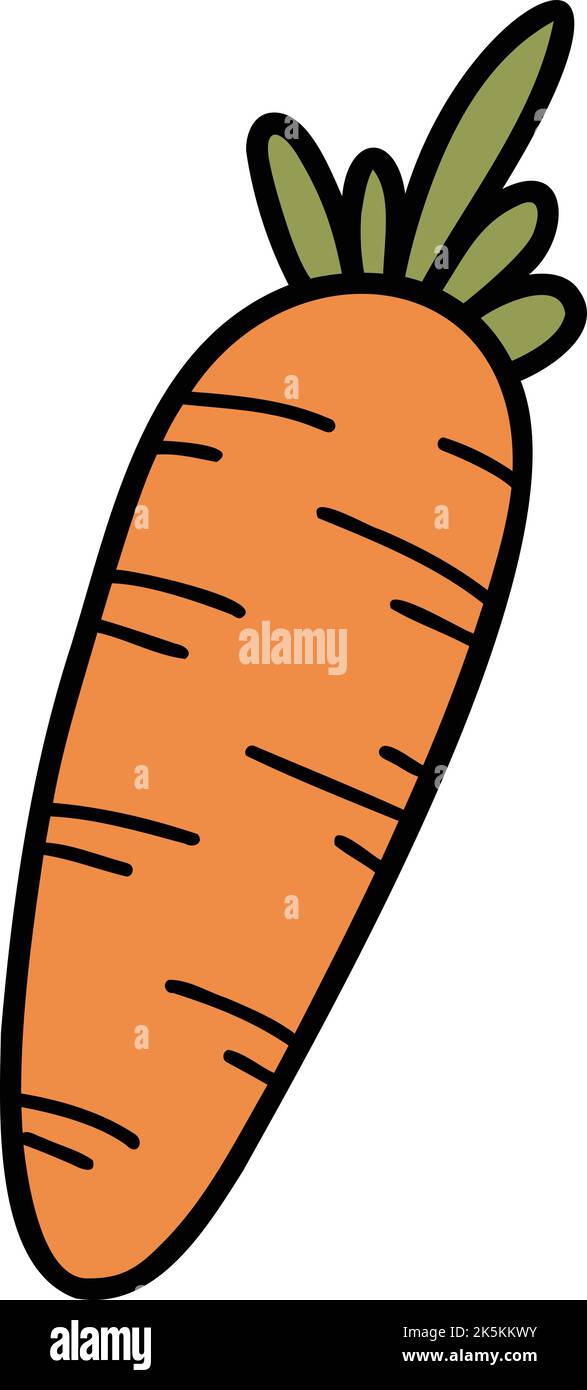 Hand Drawn carrot illustration isolated on background Stock Vector