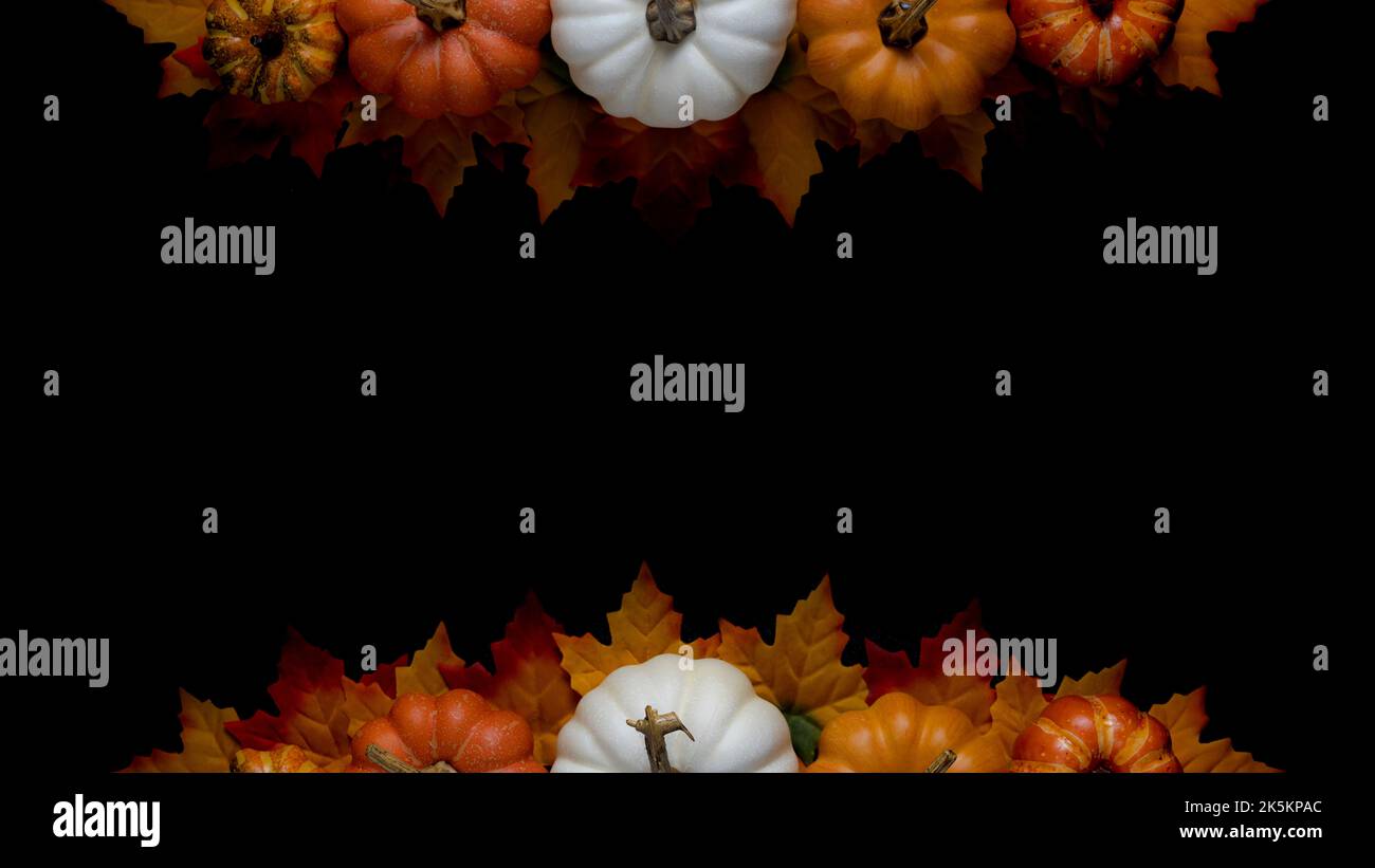 Autumn pumpkin and fall colored leaves Stock Photo - Alamy