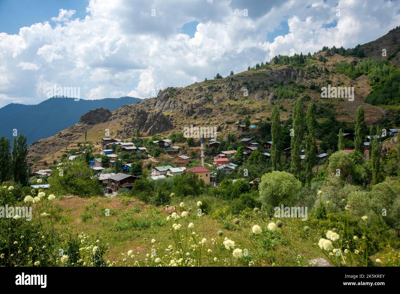 Arsiyan Highlands of Artvin province of Turkey Stock Photo
