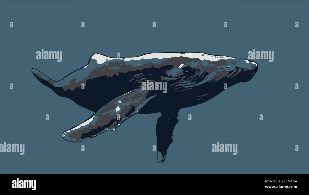Hump back Whale artwork design for TShirt, Logo, Wallpaper or digital art. Stock Vector