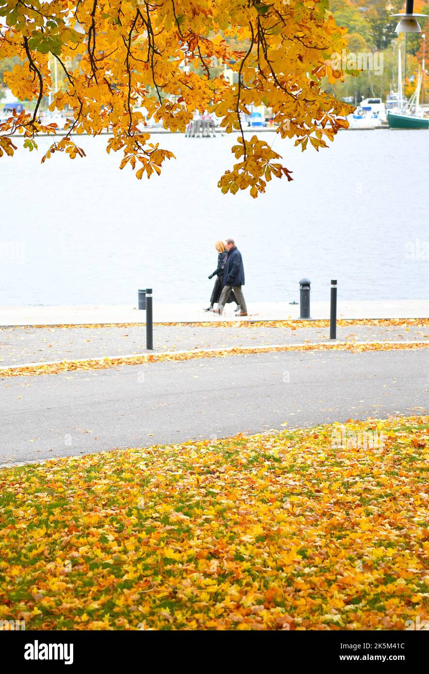 (221009) -- STOCKHOLM, Oct. 9, 2022 (Xinhua) -- People walk on a street in Stockholm, Sweden, Oct. 7, 2022. (Xinhua/Ren Pengfei) Stock Photo