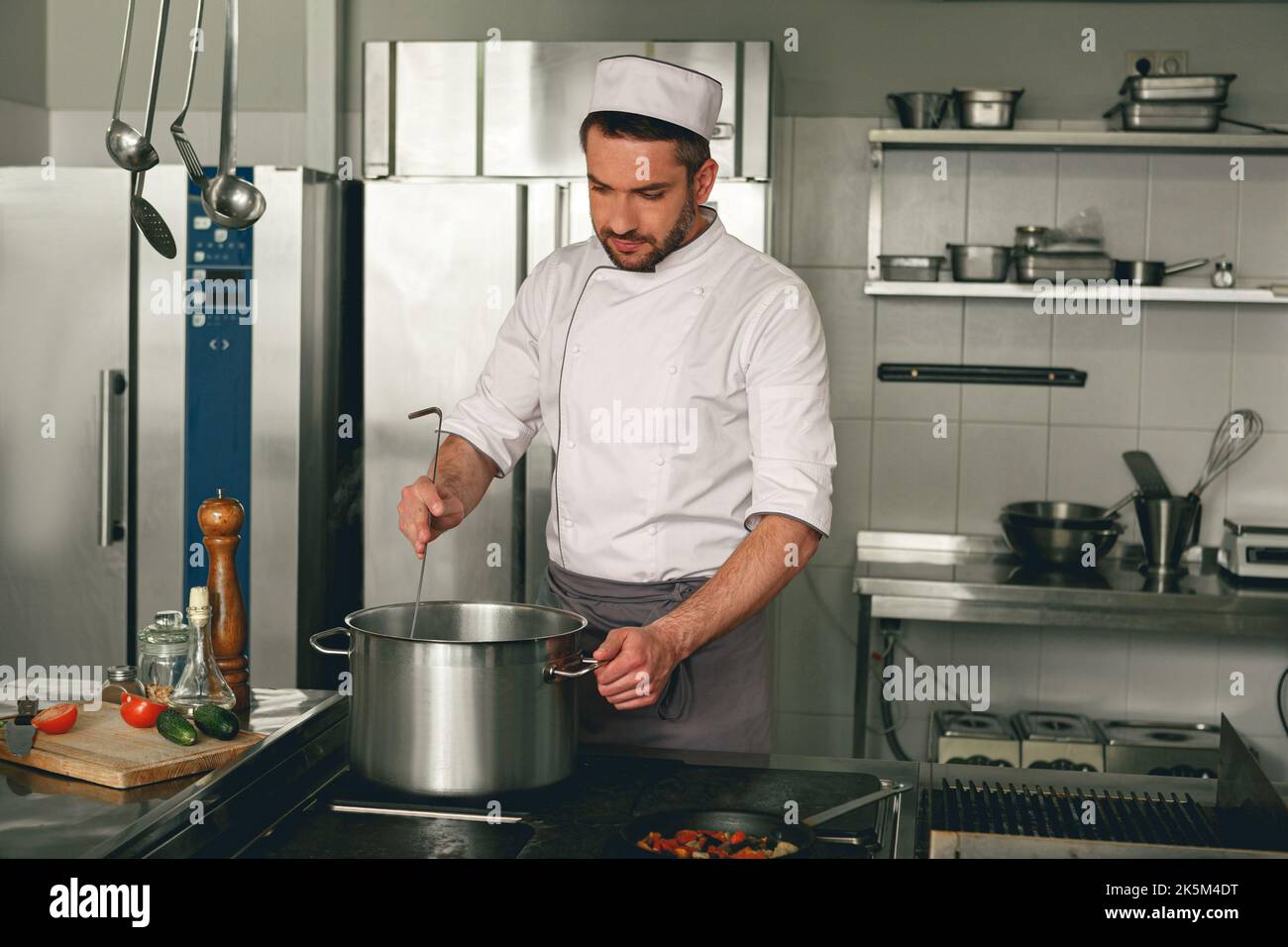 Chef cooking tasty dish in kitchen of restaurant using modern equipment ...