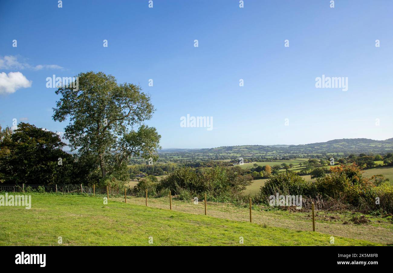 View of the Marshwood Vale, a stunningly beautiful valley in rural Dorset Stock Photo