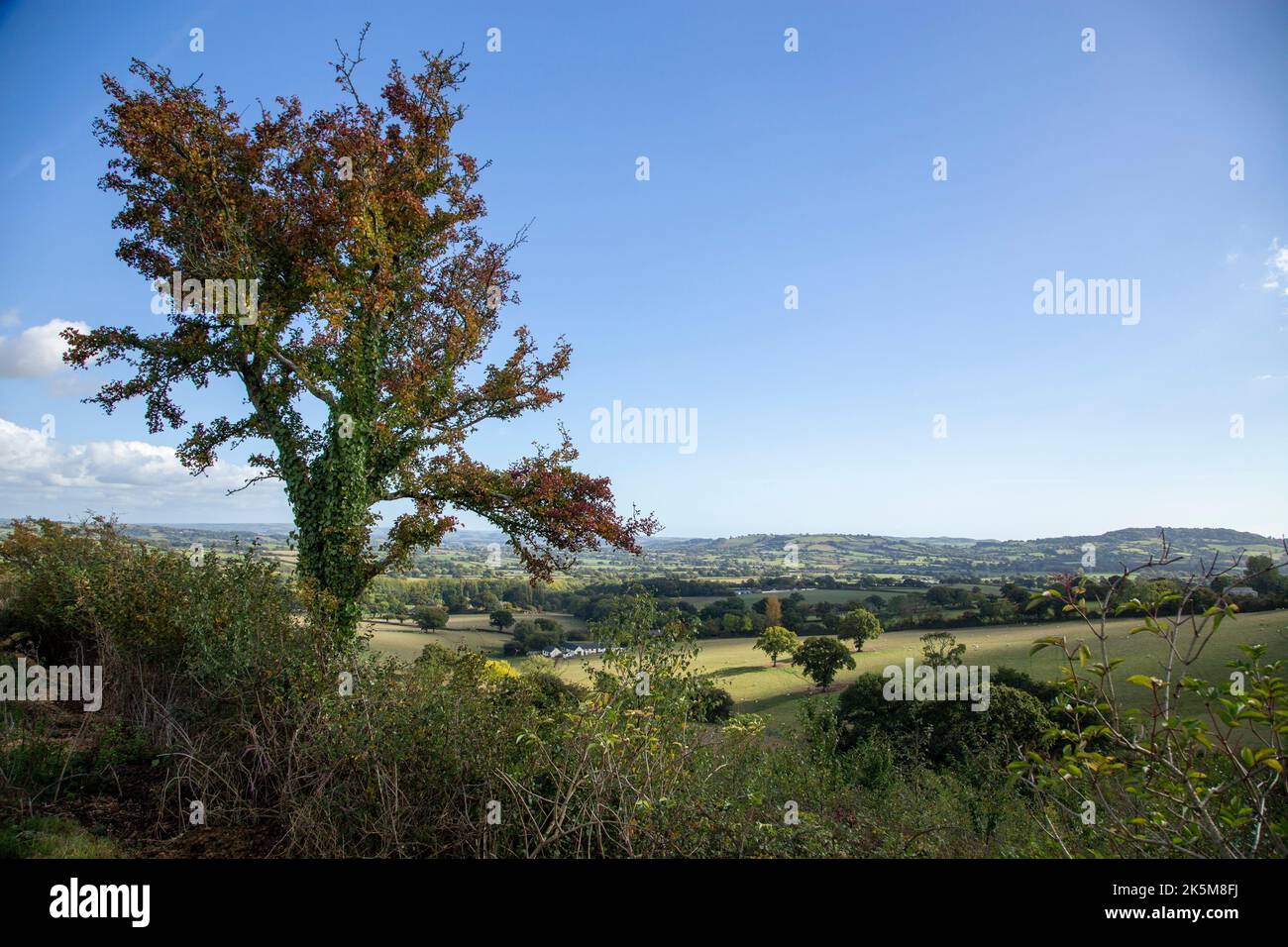 View of the Marshwood Vale, a stunningly beautiful valley in rural Dorset Stock Photo