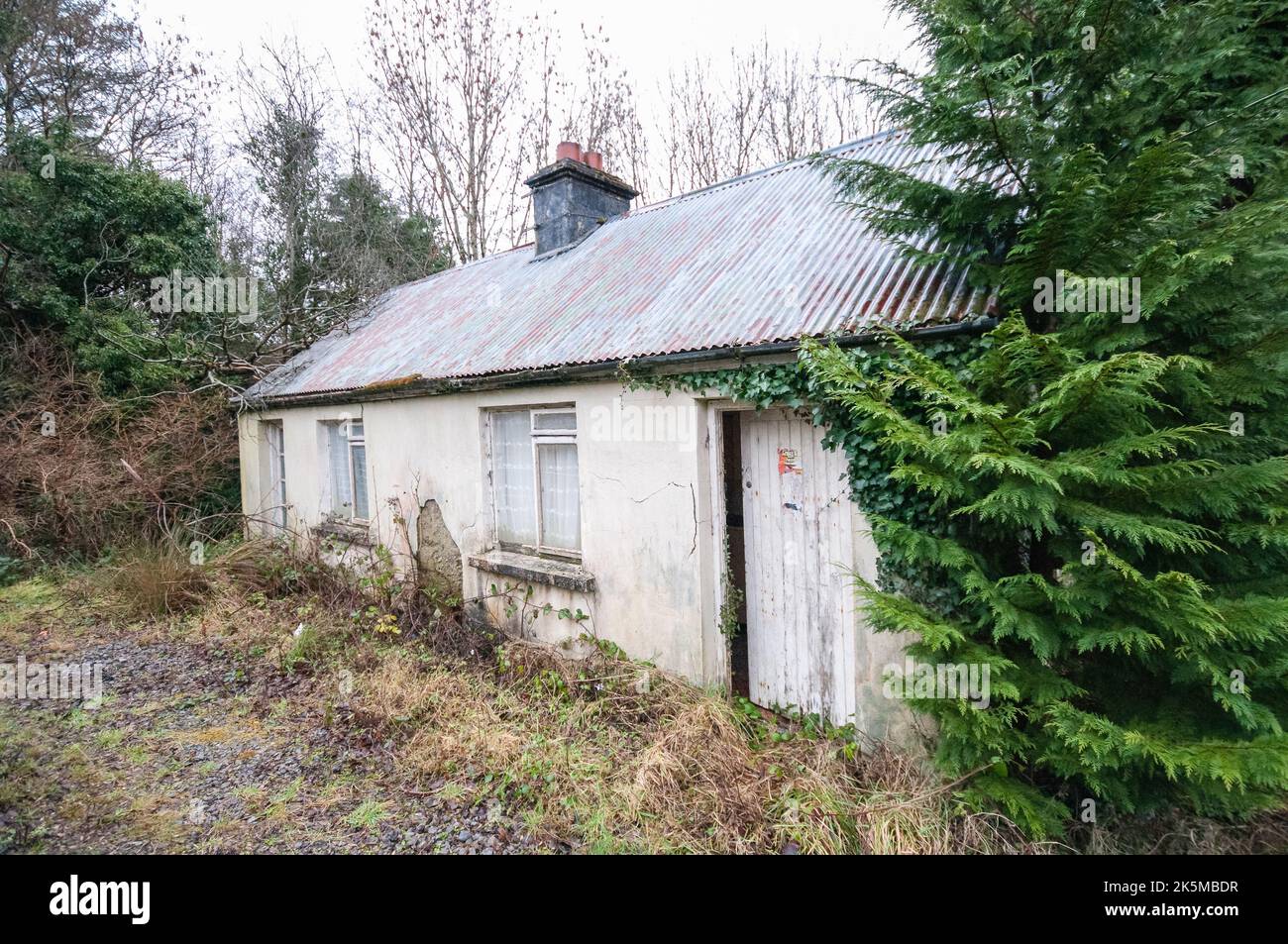 Abandoned old Irish cottage with a corrugated tin roof, which would