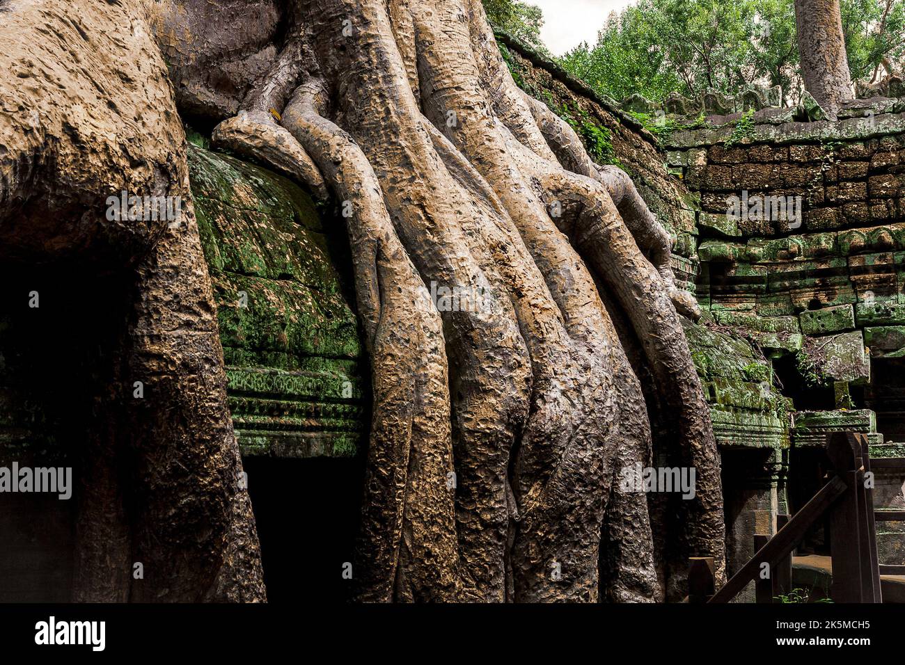The roots from a silk cotton tree engulfs the roof of one of the