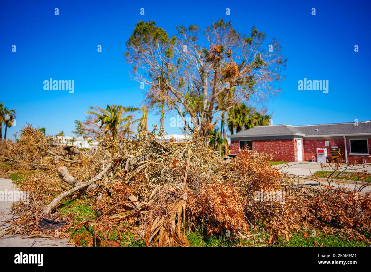 Tree debris from Hurricane Ian Punta Gorda FL Stock Photo