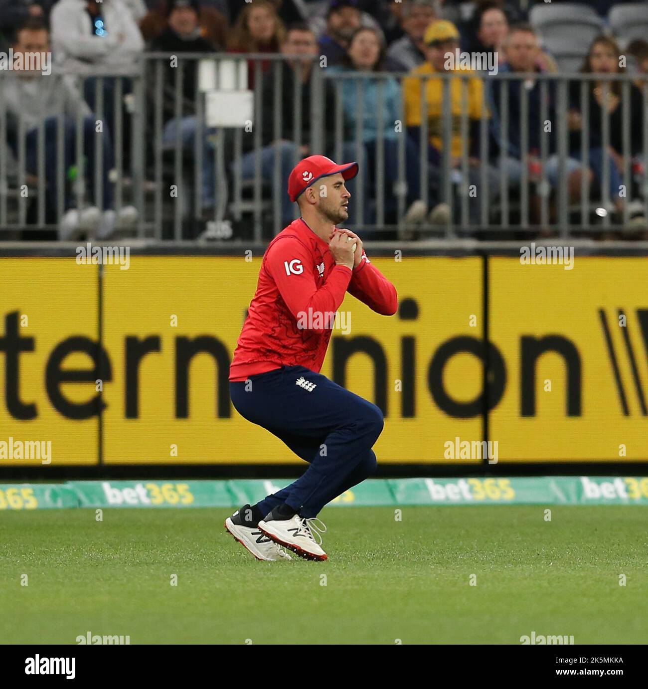 Alex hales t20 hi-res stock photography and images - Page 2