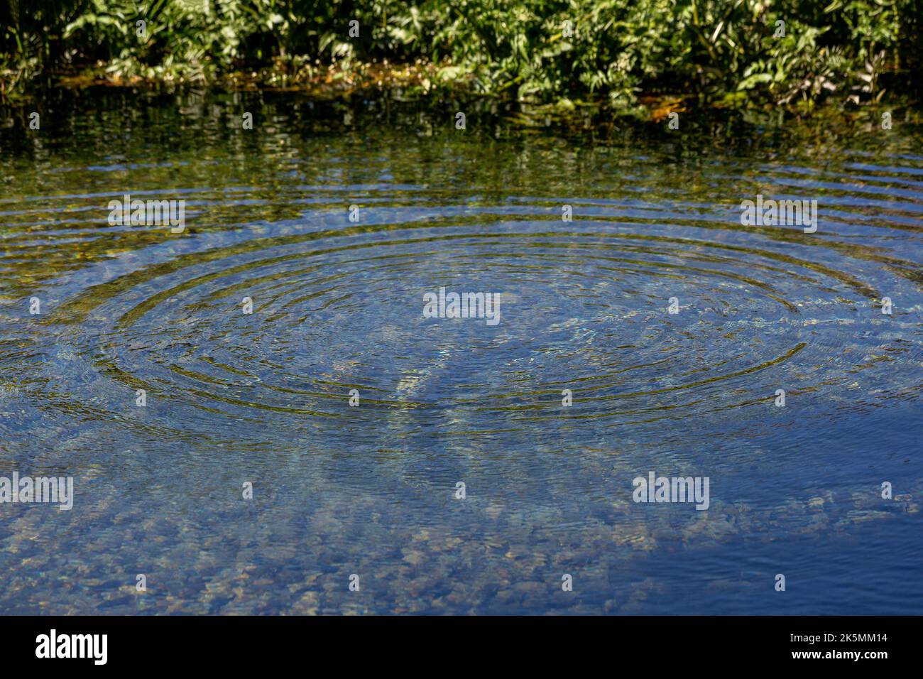 Round droplets of water over circles on the pool water. Water drop ...