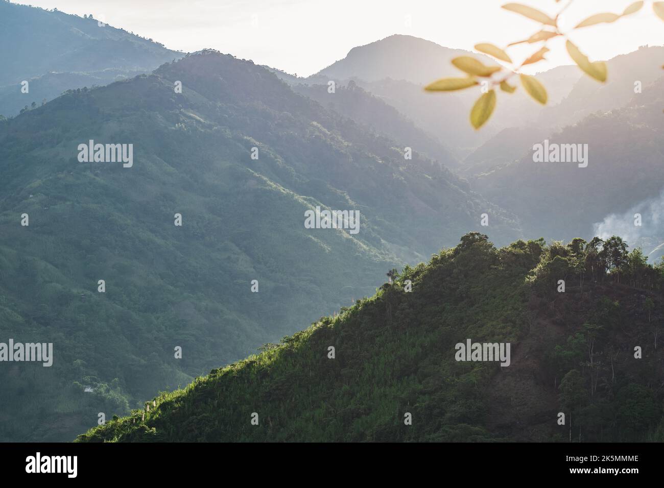 Quinchia hi-res stock photography and images - Alamy