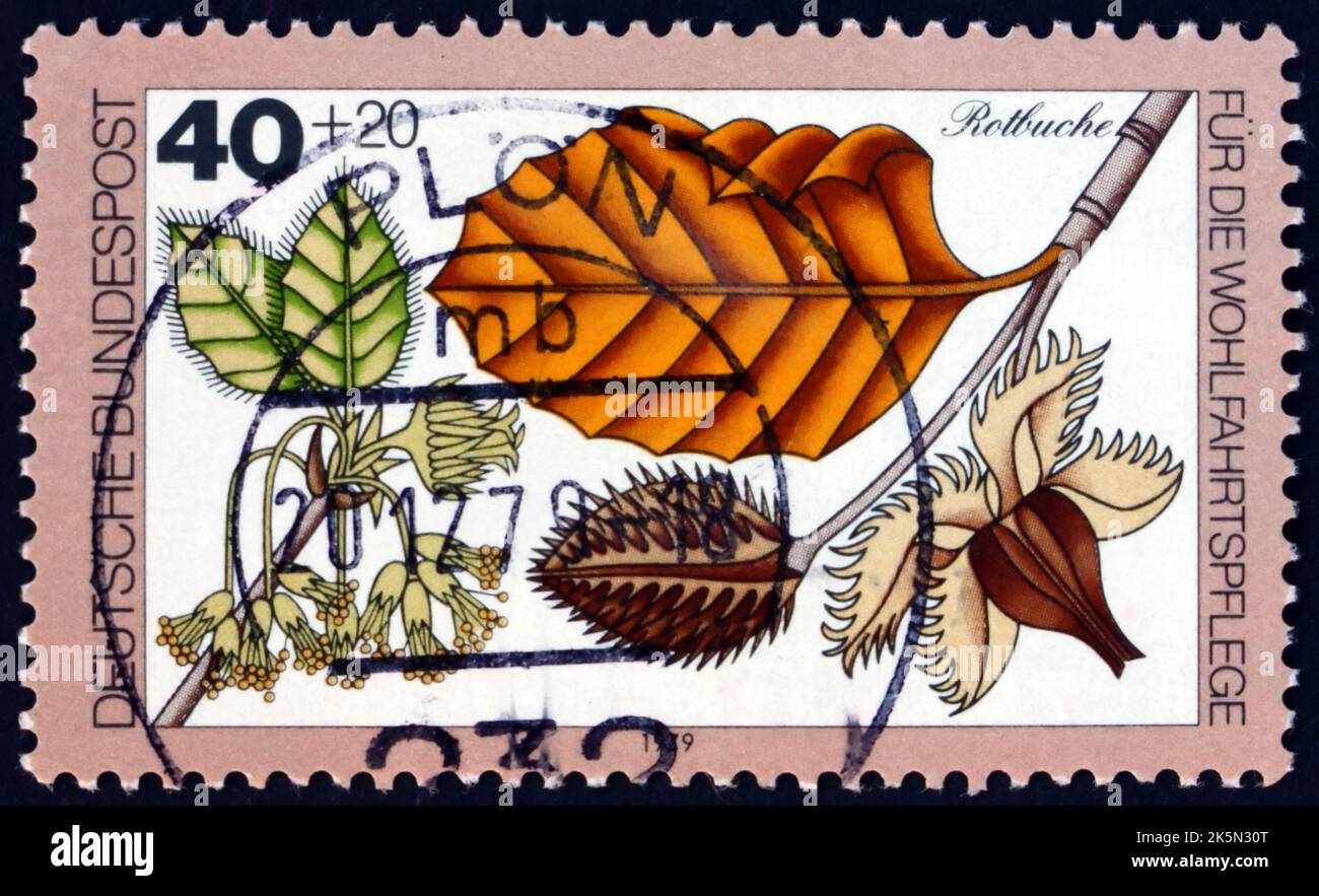GERMANY - CIRCA 1979: a stamp printed in Germany shows English oak, quercus robur, woodland plant, is native to most of Europe west of the Caucasus, c Stock Photo