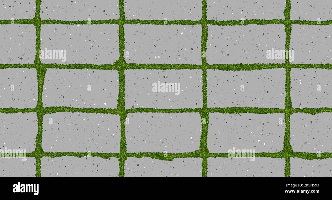 Seamless texture of old pavement with moss and concrete bricks Stock Vector